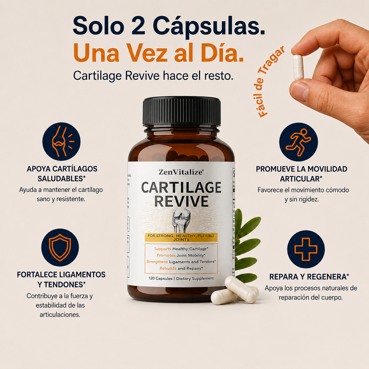 Cartilage Revive+  | Reconstruye y protege el cartílago desde dentro
